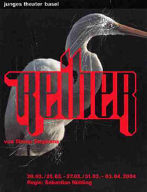 Reiher (Herons)